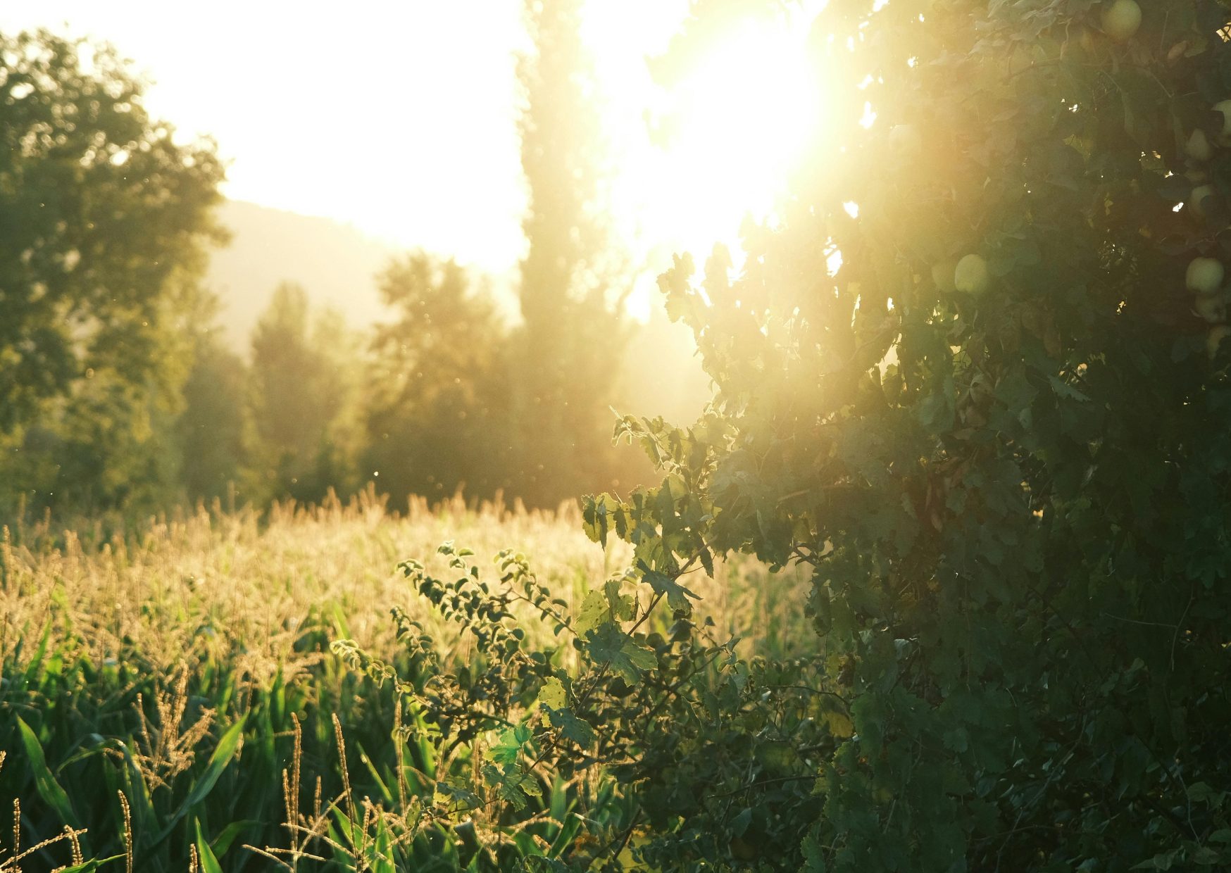 Earth Day 2026: Our Power, Our Planet