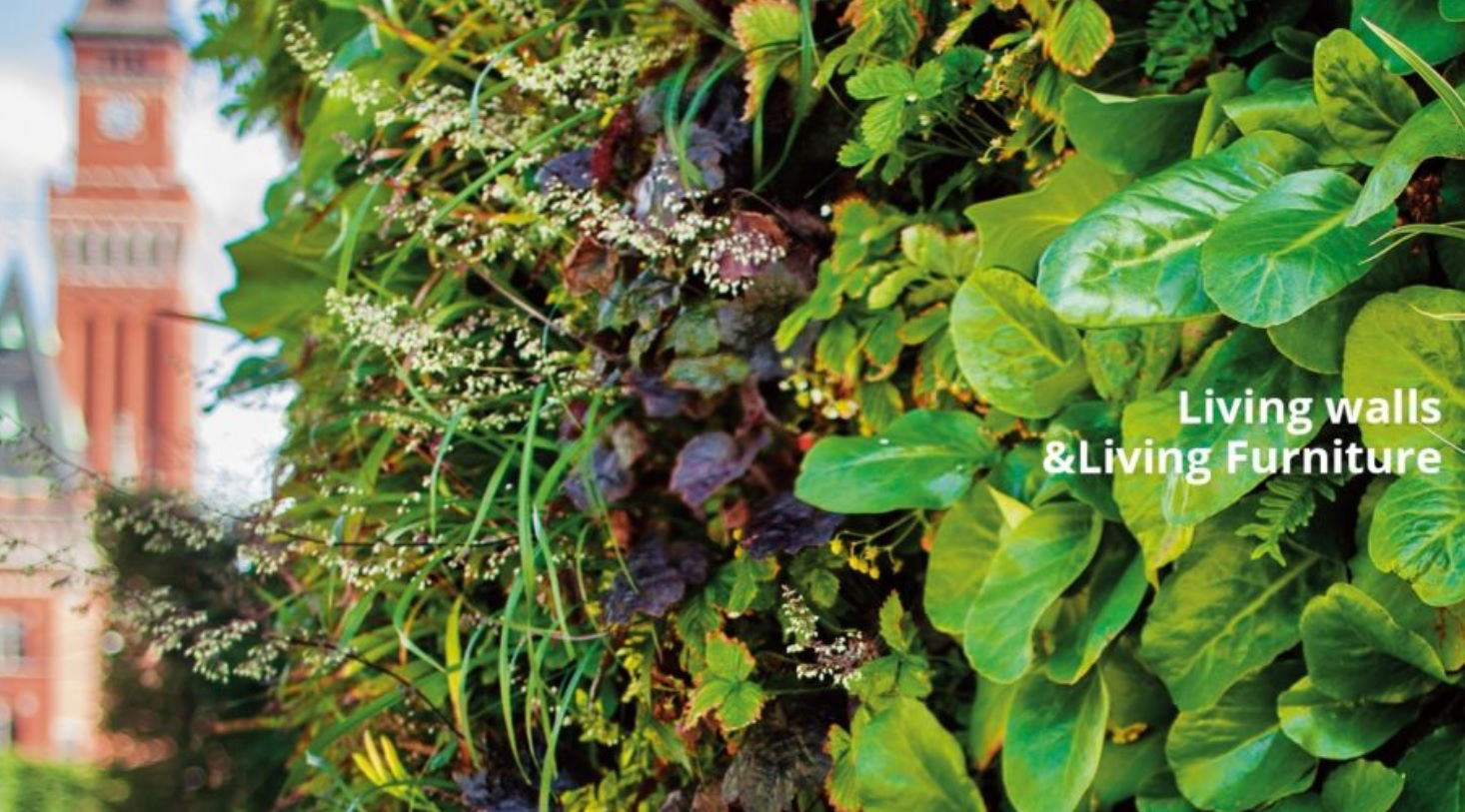 EURid will continue with EMAS registration