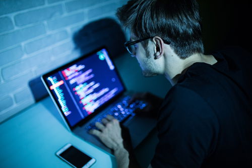 The pandemic impacts on security